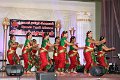 IMG_3755