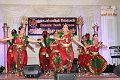 IMG_3762