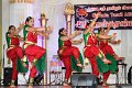IMG_3785