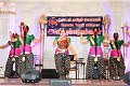 IMG_3914