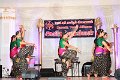 IMG_3917