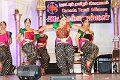 IMG_3923