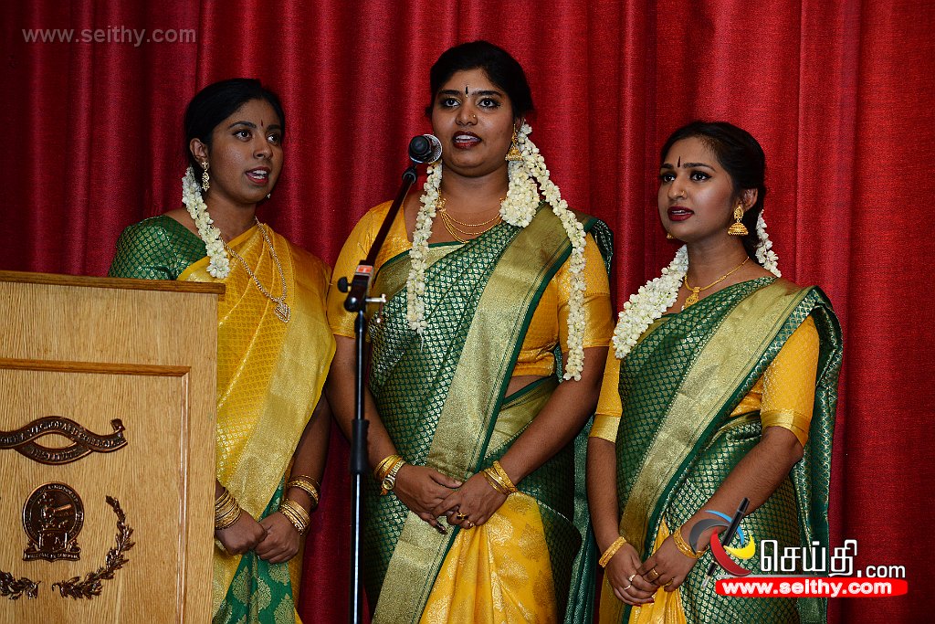 DSC_0501.JPG